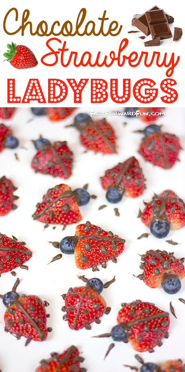 Chocolate Strawberry Ladybugs -- Cute and easy way to get kids to eat their fruit! I LOVE this idea for parties. 